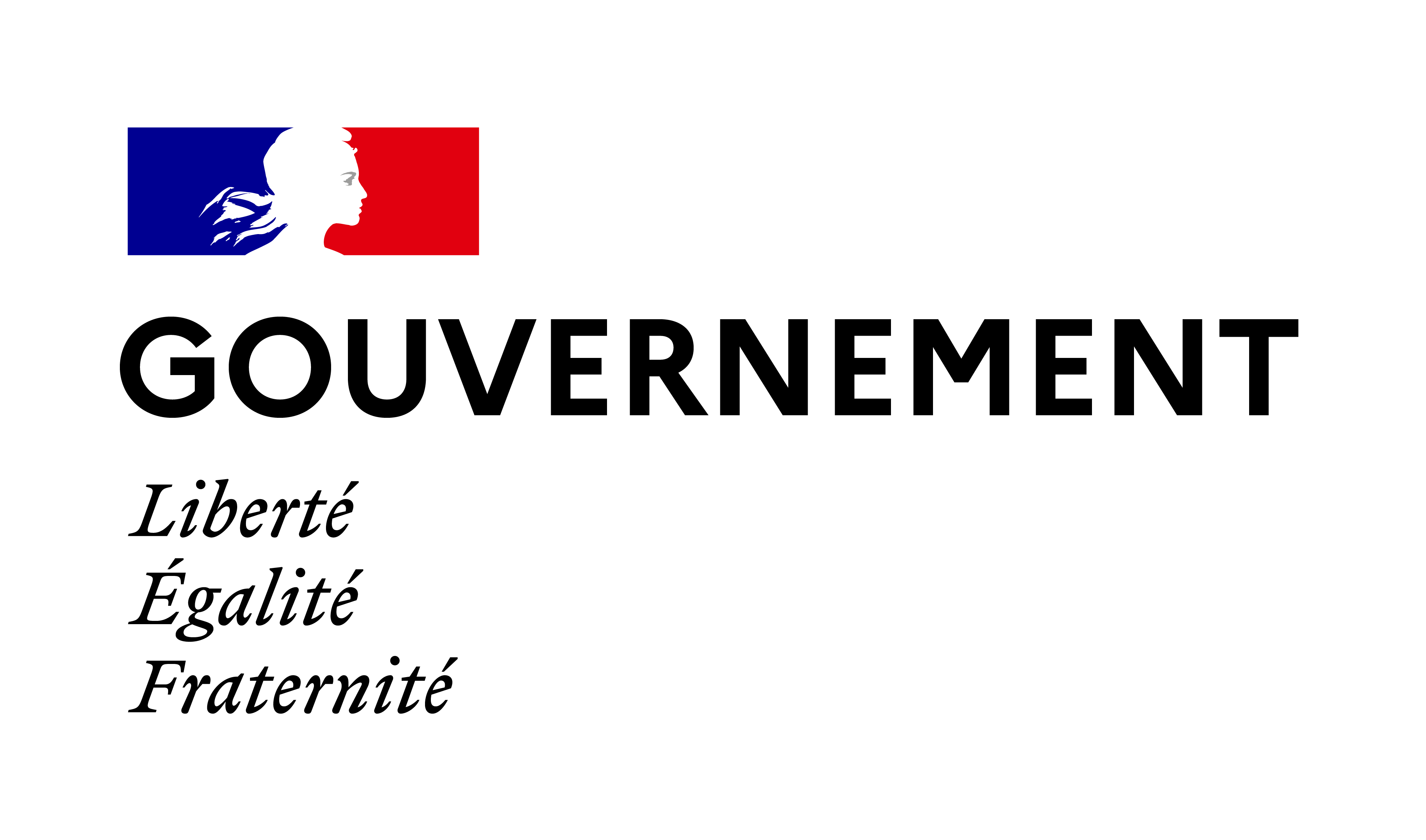 Gouvernement - Liberté, égalité, fraternité